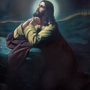 Meet your Posher, Chandra